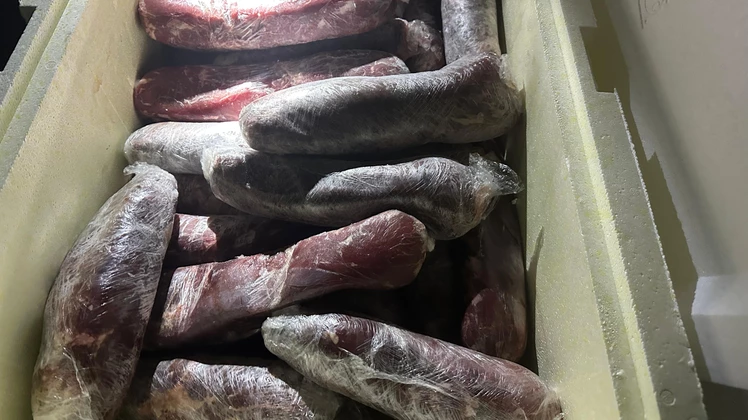 Cerca de 560 kg de alimentos transportados irregularmente são apreendidos no MA