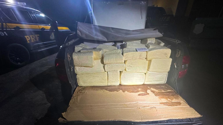 Cerca de 560 kg de alimentos transportados irregularmente são apreendidos no MA