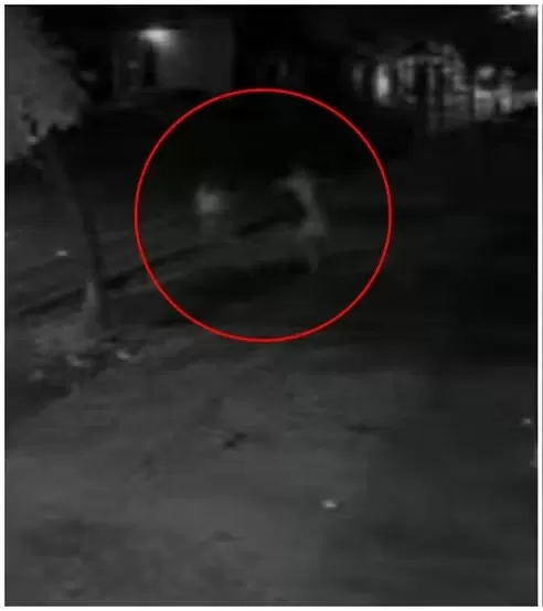 Vigia é condenado a 18 anos por homicídio de homem em situação de rua em Fortaleza