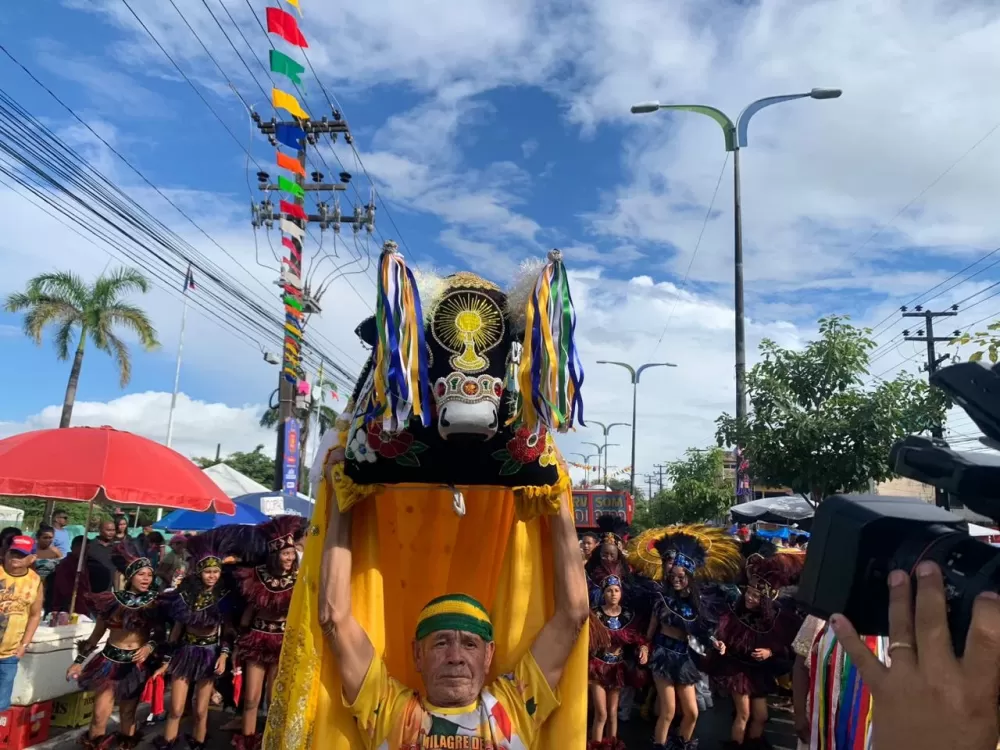  Tradição e devoção: moradores, brincantes e grupos de bumba meu boi celebram São Marçal em São Luis