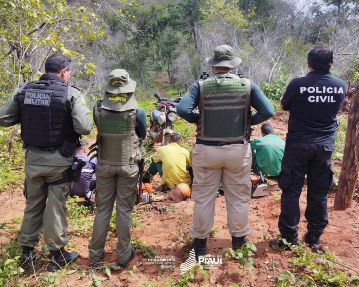 Semarh inicia Operação Cerrado Vivo no extremo sul do Piauí