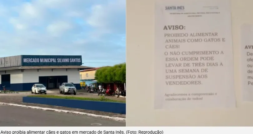 Cartaz em mercado ameaça suspender quem alimentar animais e revolta feirantes em Santa Inês