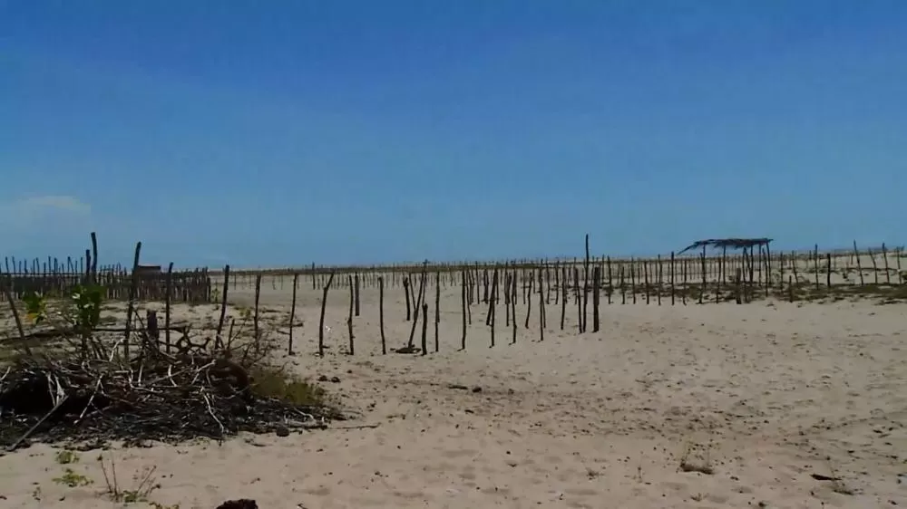 DPU recomenda retirada de cercas irregulares em praias do litoral piauiense
