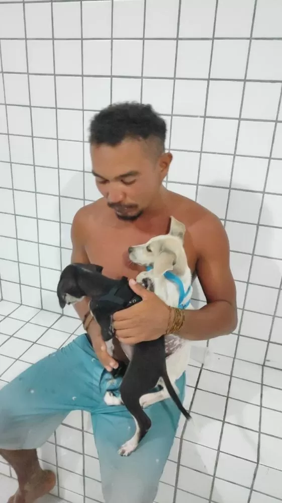 Homem é preso por suspeita de tentar afogar filhotes de cachorro na Praia da Pedra do Sal, em Parnaíba