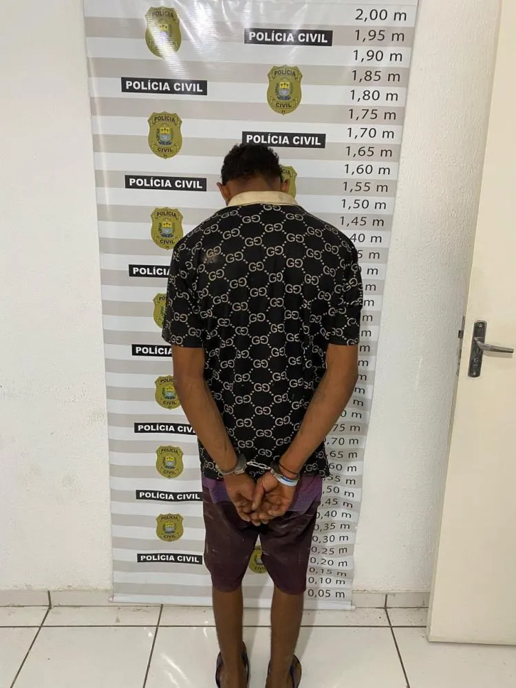 Polícia Civil cumpre mandado por crimes de furto qualificado em Teresina