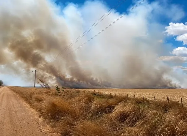 Equatorial Maranhão alerta para impactos das queimadas na rede elétrica