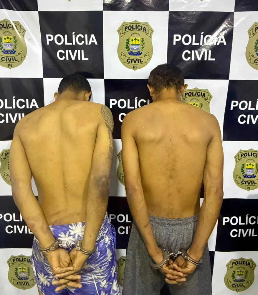 Polícia Civil prende suspeito de série de furtos e roubos em Barras