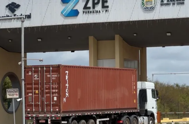 ZPE Piauí bate recorde e exporta mil toneladas de cera de carnaúba em oito meses