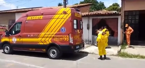 Ataque de abelhas mata cerca de dez aves e deixa homem ferido em Santa Inês