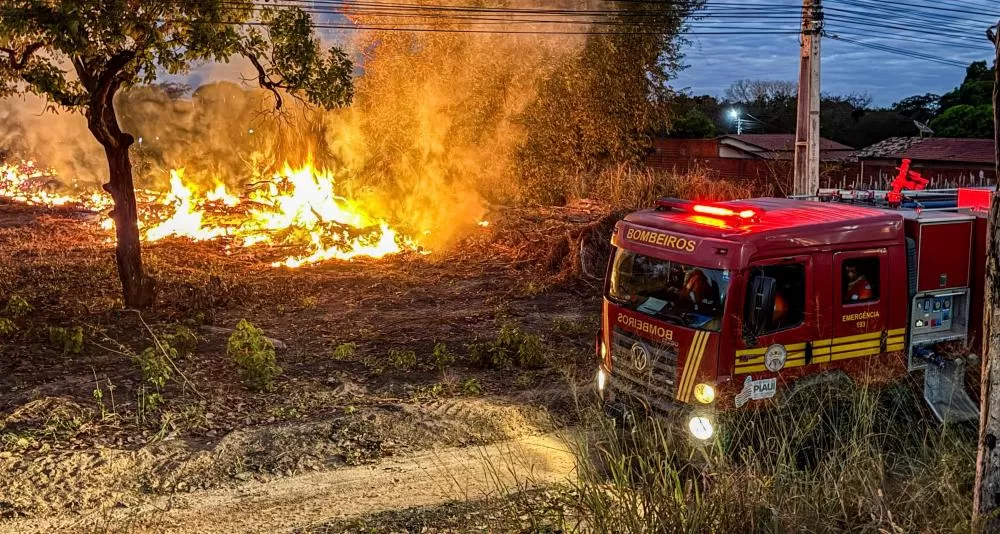 Proibição de queimadas começa a valer no Piauí em meio à pior seca dos últimos cinco anos
