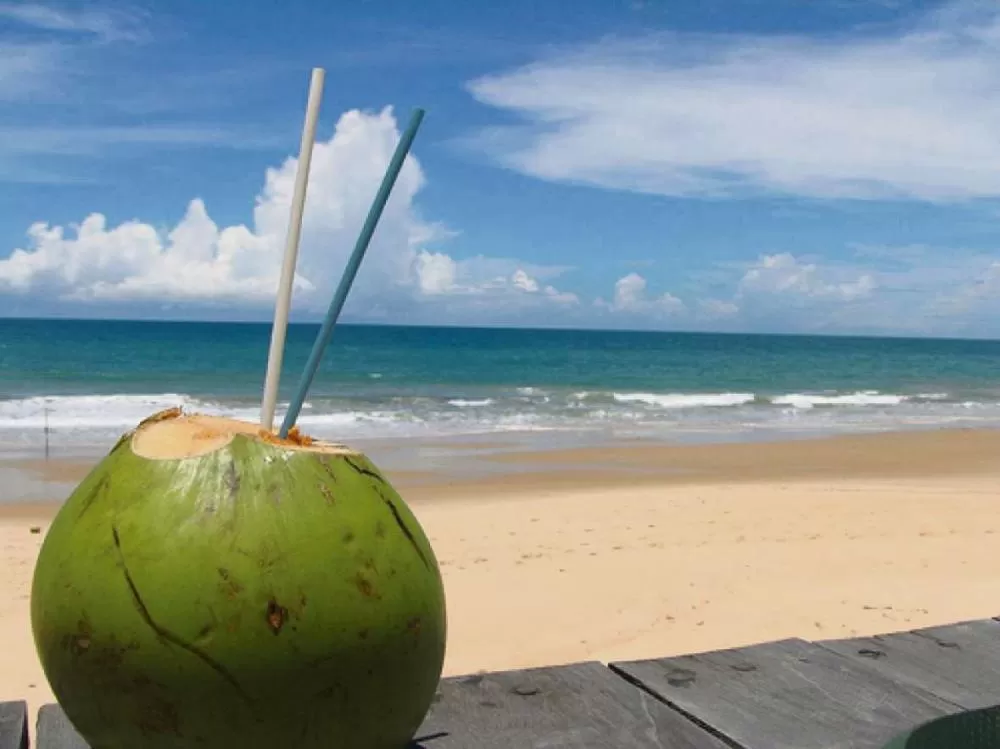 Facção criminosa tenta monopolizar venda de água de coco na Beira-Mar de Fortaleza