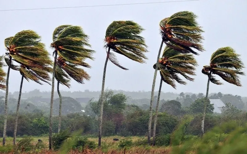 Alerta de ventos fortes: 61 municípios do Piauí podem registrar rajadas de até 60 km/h