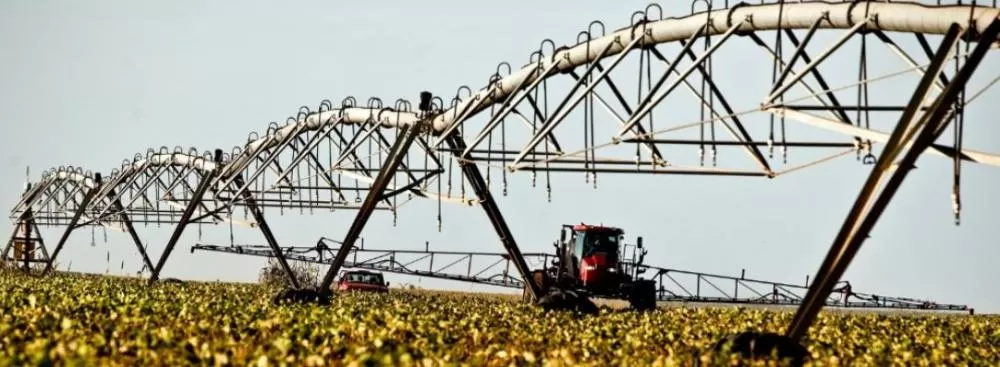 Confira os principais eventos do agronegócio para este fim de semana