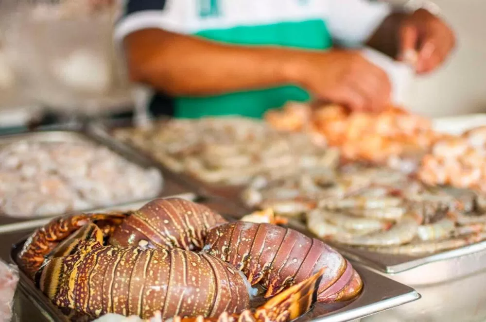 Ceará deve comprar 600 toneladas de água de coco e pescado para mitigar impactos do “tarifaço” dos EUA
