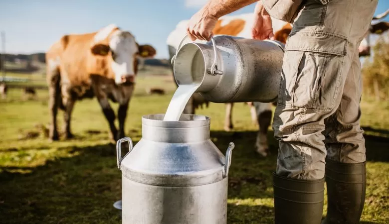 Preço do leite cai 1,16% em julho e acumula retração de 8,4% em um ano