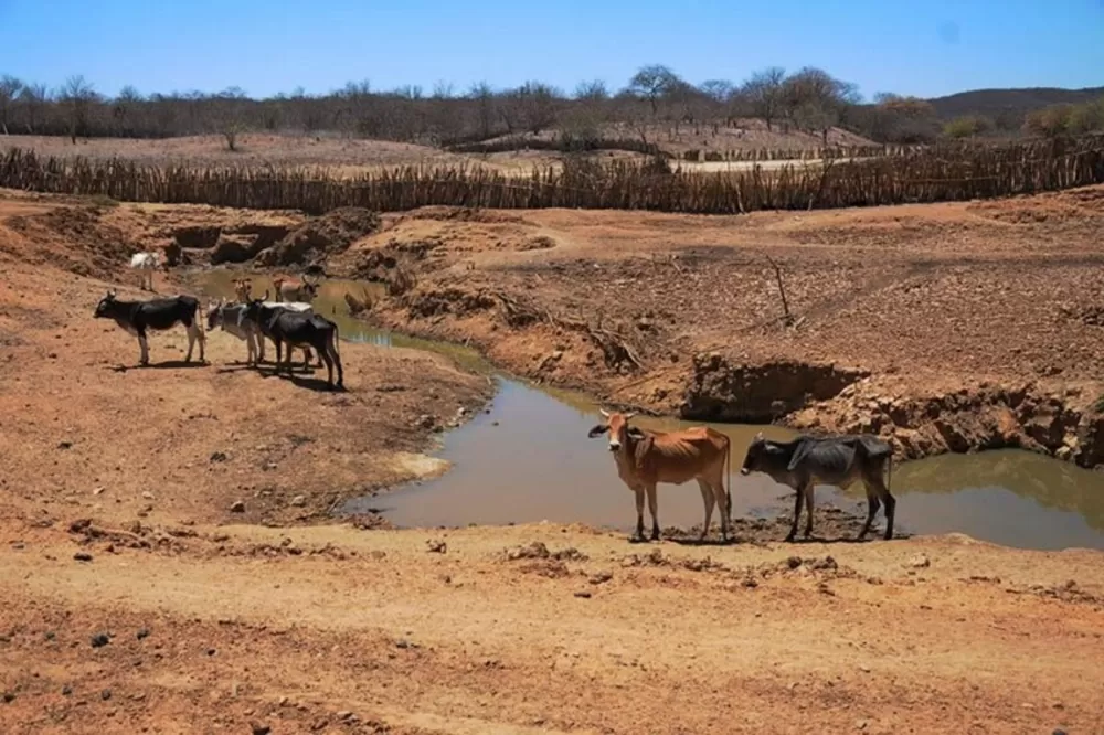  B-R-O Bró: Municípios do Piauí devem registrar temperaturas acima de 38 °C