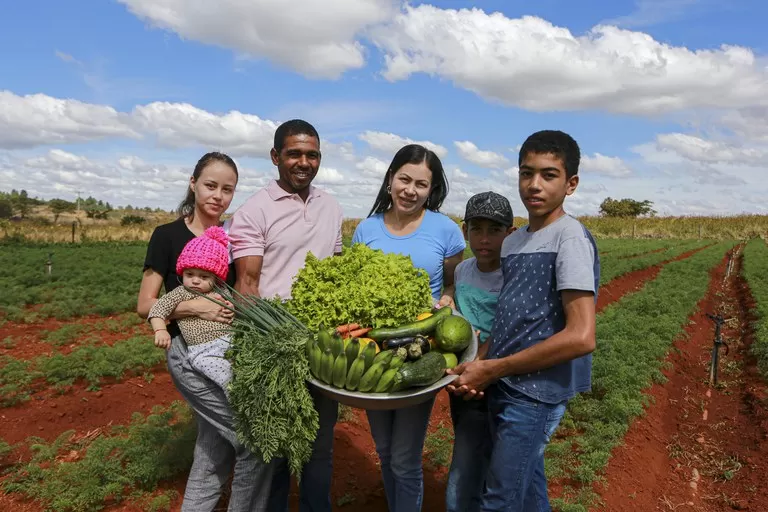Câmara aprova prioridade de recursos a agricultores familiares afetados por eventos climáticos