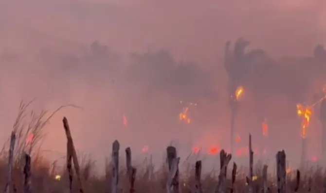 Incêndio em vegetação ameaça residências e deixa moradores em alerta na zona rural de Nazária - PI