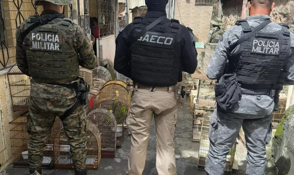 Bahia: Operação prende um dos maiores traficantes de animais do país