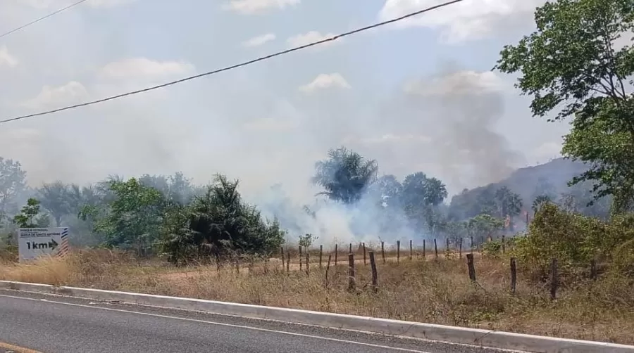 Incêndio atinge área de mata próxima à Serra de Santo Antônio em Campo Maior