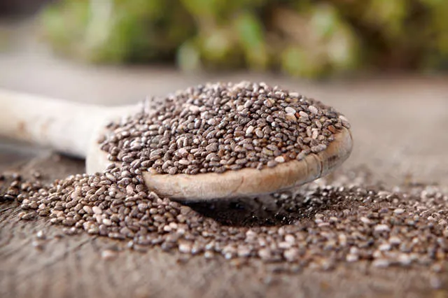 Brasil amplia exportações e abre novos mercados na Argentina e no Paraguai