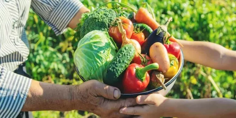 Governo lança estratégia para ampliar uso de bioinsumos na agricultura familiar