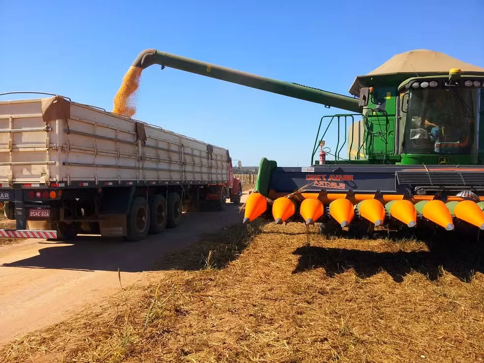 Produção agrícola do Piauí sofre queda de R$ 2,6 bilhões após sete anos de crescimento