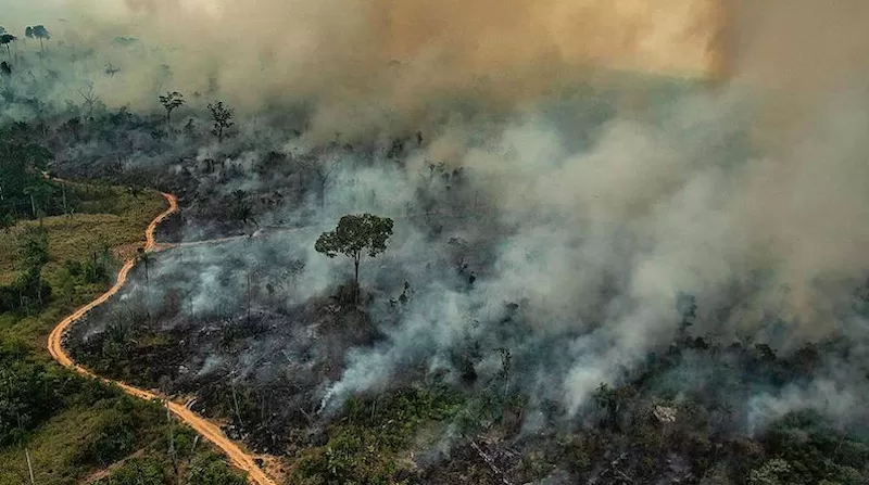 Brasil registra em 2025 o quinto maior índice de área queimada desde 2003