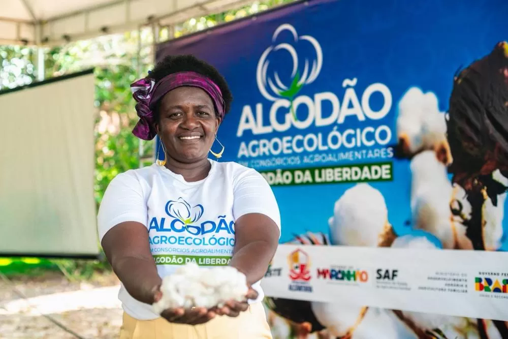 Maranhão celebra primeira colheita do projeto Algodão Agroecológico em comunidade quilombola