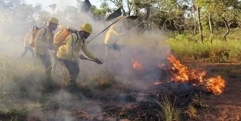 Piauí registra 450 focos de incêndio em apenas três dias de setembro