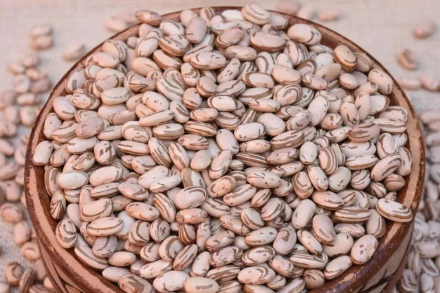 Preço do feijão-carioca sobe, com oferta restrita sustentando cotações