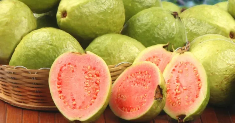 Molécula da goiaba mostra eficácia contra câncer de fígado, aponta estudo