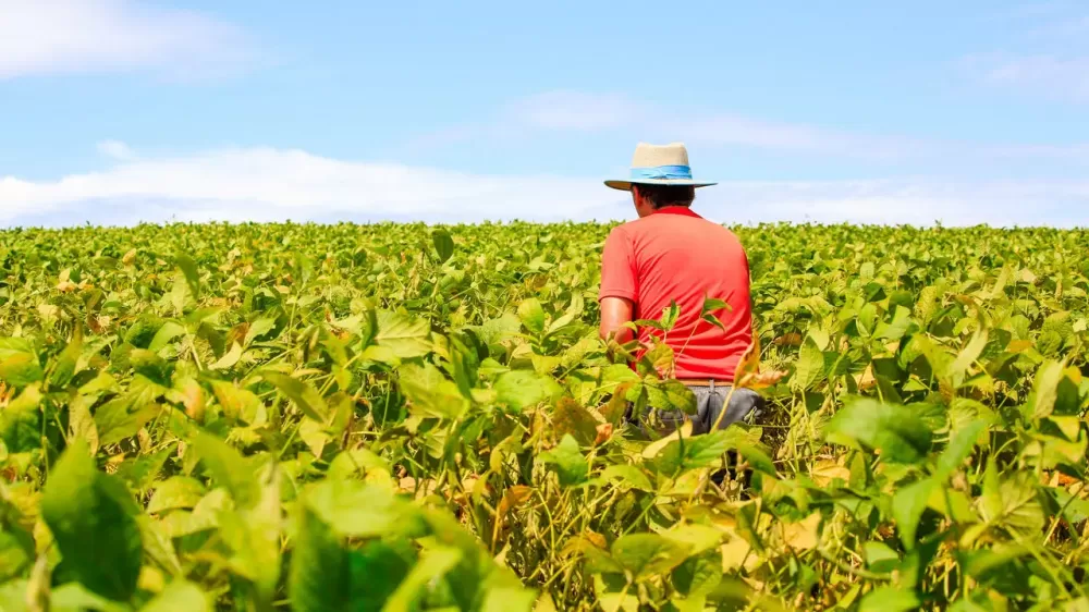 Governo prepara medida para renegociação de dívidas de produtores rurais