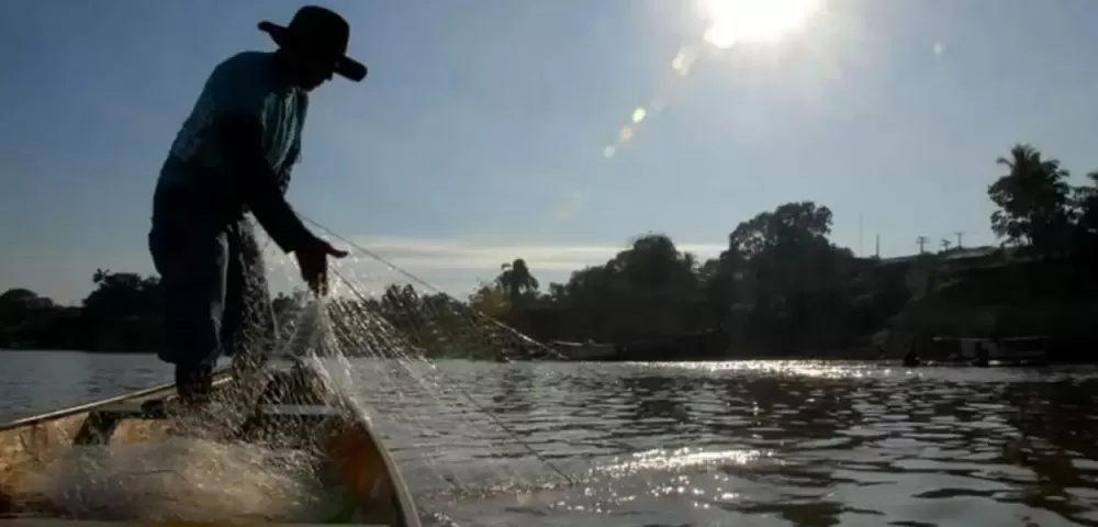 Governo cria Comitê da Pesca Amadora e Esportiva para impulsionar setor de R$ 1 bilhão