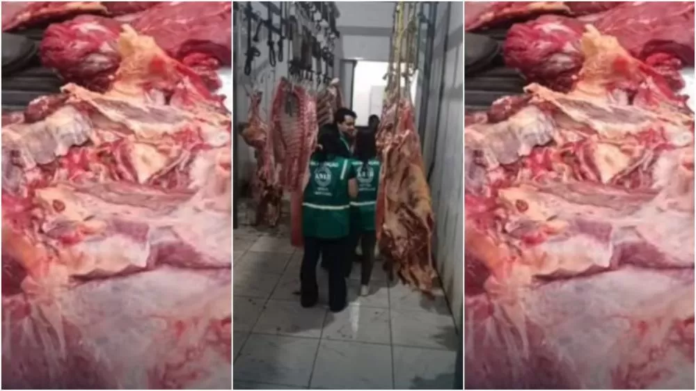 Adab apreende 100 kg de carne com suspeita de tuberculose bovina em Ibicaraí, na Bahia 