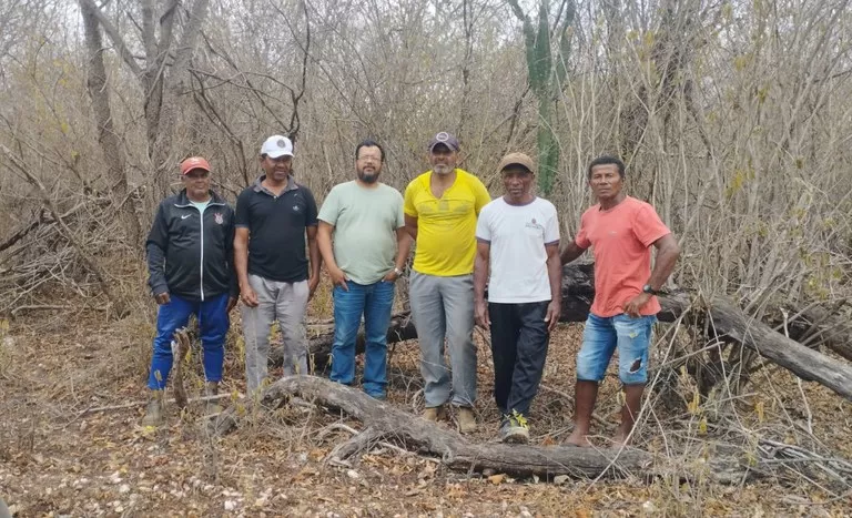  Projeto Redeser leva manejo florestal sustentável a cinco assentamentos cearenses