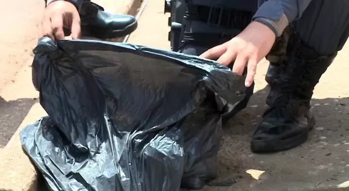 Suspeita de feto humano em saco de lixo mobiliza perícia em Imperatriz; corpo era de um gato