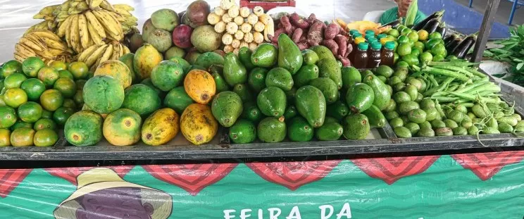 Maranhão recebe Feirinha Itinerante da Agricultura Familiar em outubro