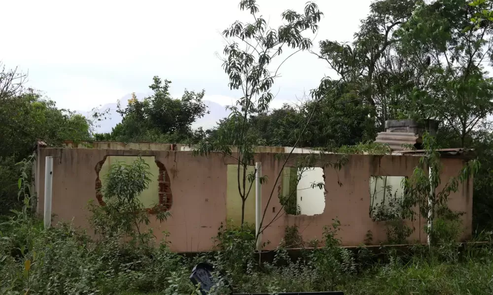 Crea-MG cancela registros de 15 engenheiros envolvidos na tragédia de Brumadinho