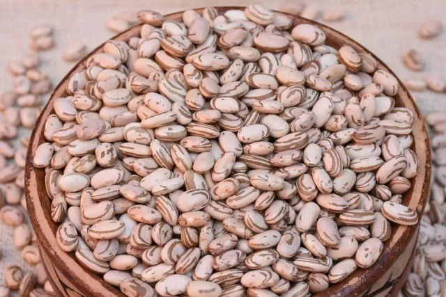 Preços do feijão voltam a cair em algumas regiões produtoras