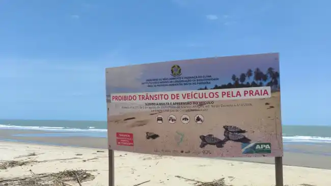 Operação remove cercas ilegais e ocupa novamente áreas públicas na Praia do Arrombado