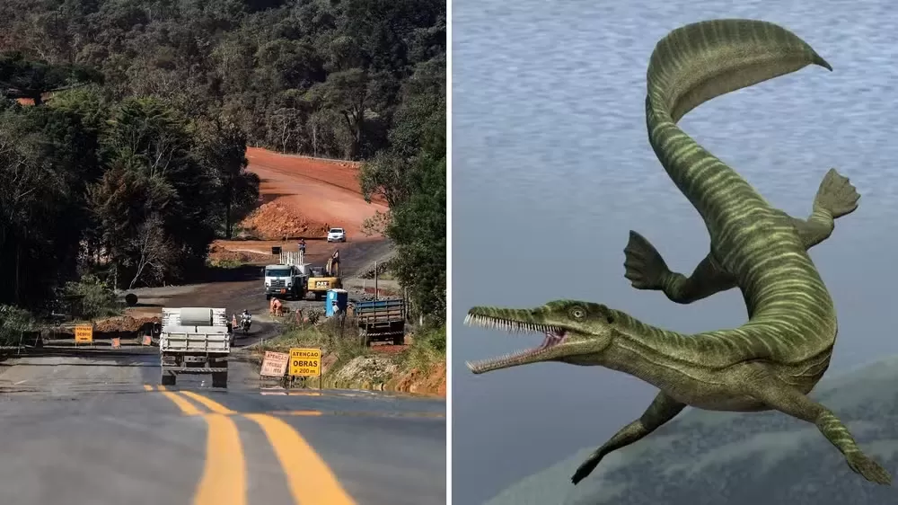 Obra da PR-364 é paralisada após descoberta de fósseis mais antigos que dinossauros no Paraná