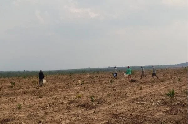 Empregador é multado por manter trabalhadores em trabalho análogo à escravidão no Sul do Piauí