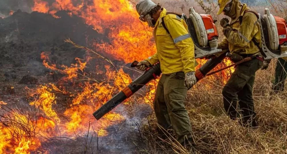 Brasil propõe resposta global contra incêndios florestais durante Pré-COP em Brasília