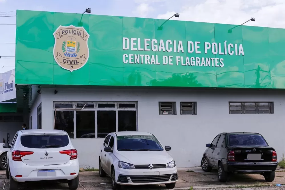 Mulher é presa após ameaçar e desacatar agentes e delegado em Teresina
