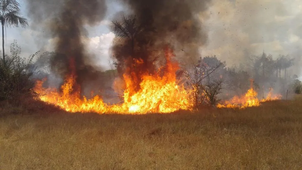 Incêndios atingem bairros de Barras e mobilizam brigadistas por várias horas
