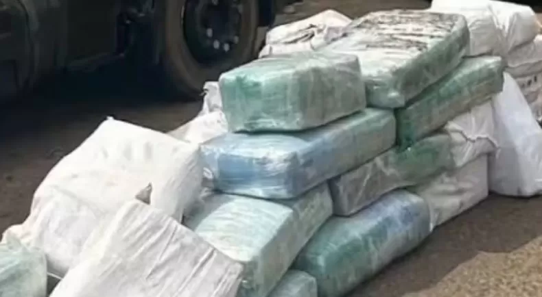 PRF encontra 924 kg de skunk em caminhão na maior apreensão de drogas já registrada no MA