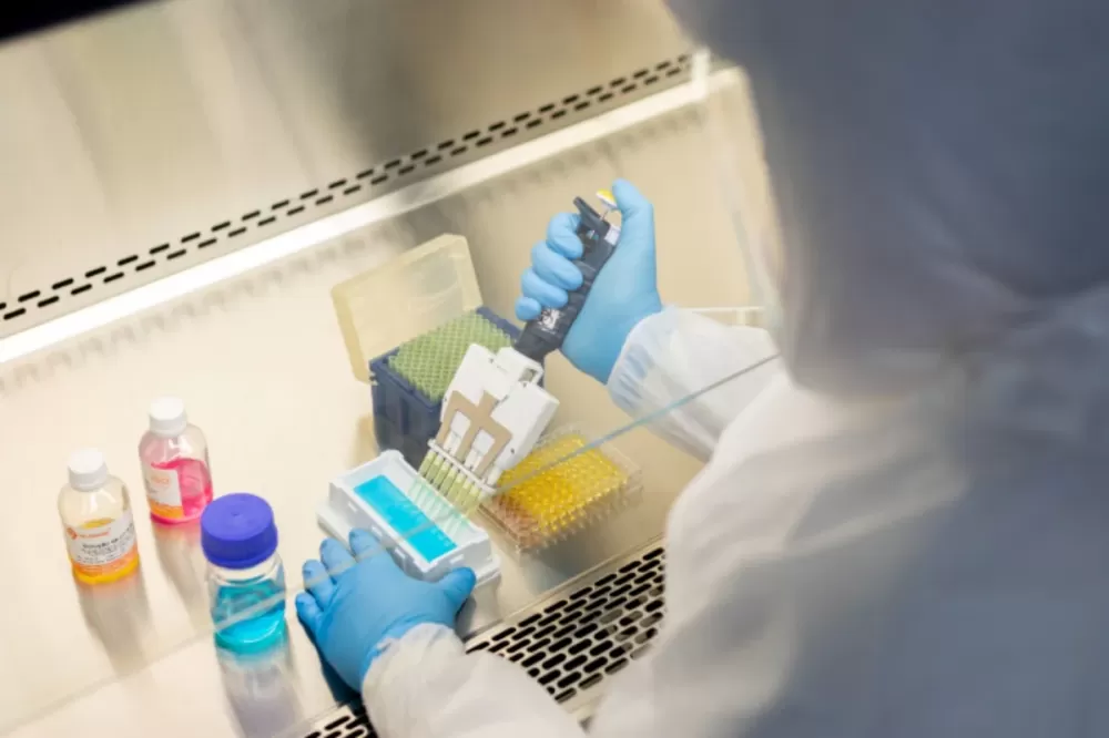 Foto: Reprodução/ Instituto Butantan