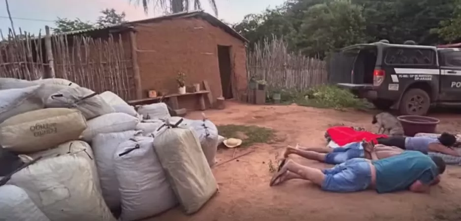 Quase duas toneladas de maconha são apreendidas na zona rural de Grajaú