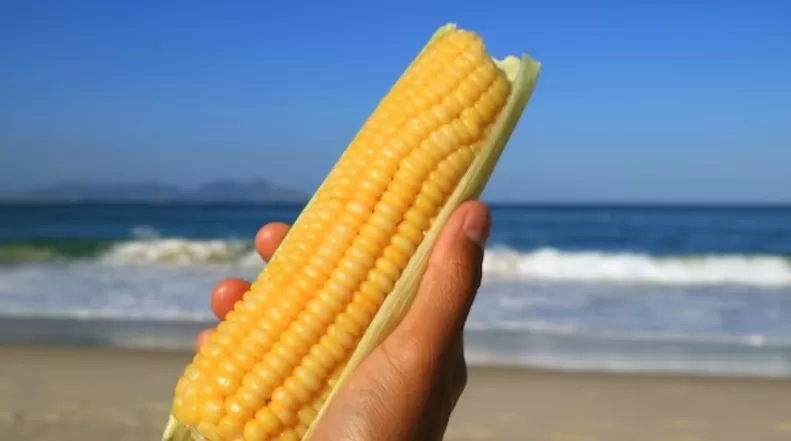 Turista argentina cai em golpe e paga R$ 20 mil por milho no Rio